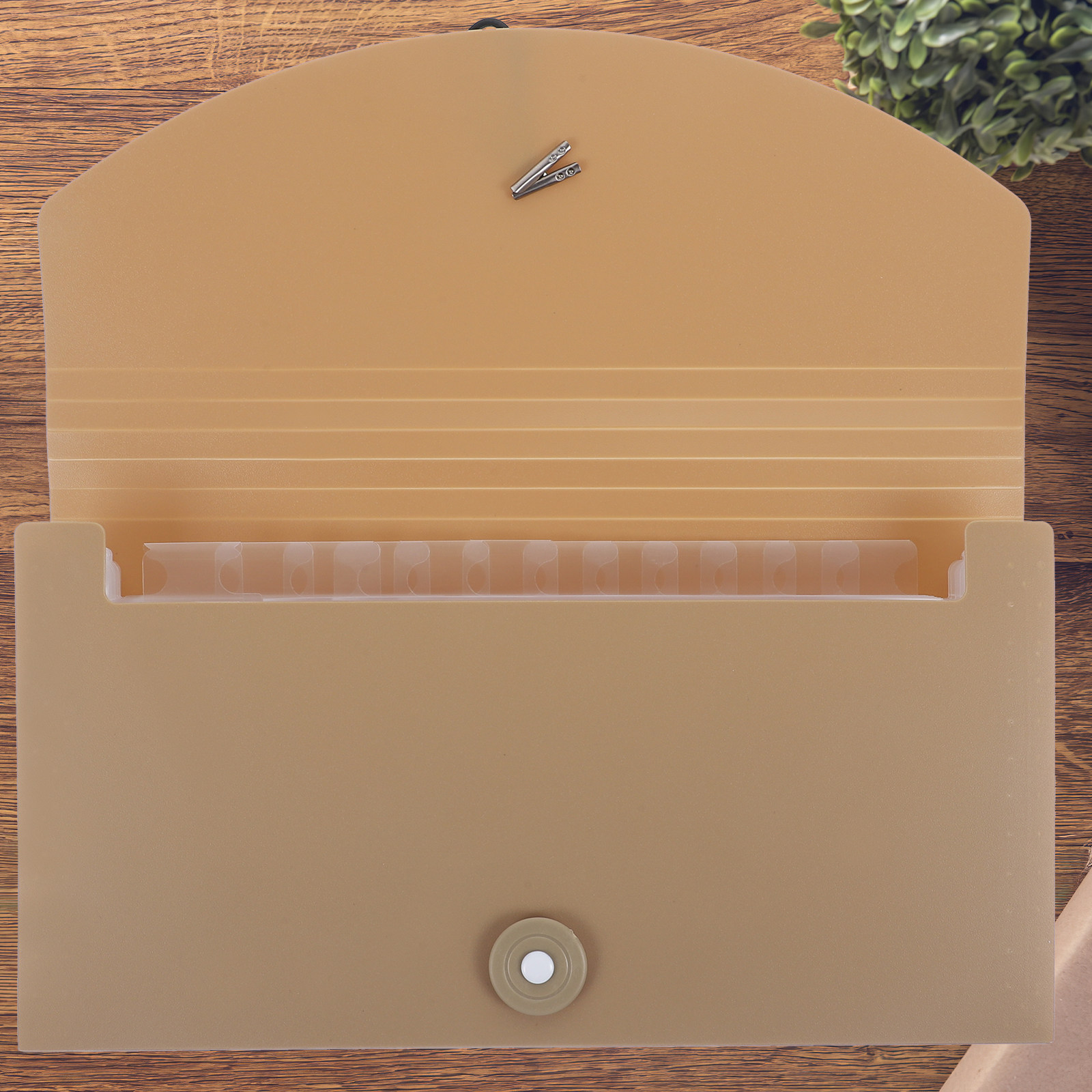 Carpeta de archivo extensible  - Expandable Accordion File Folder 13 Pockets reseña y precio